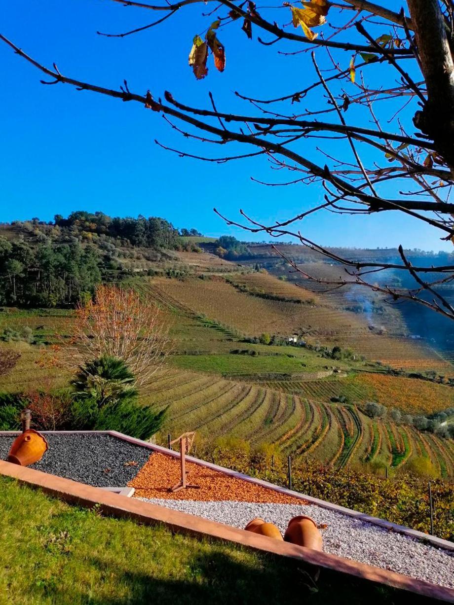 Quinta De Baixo Villa Vila Marim Eksteriør bilde