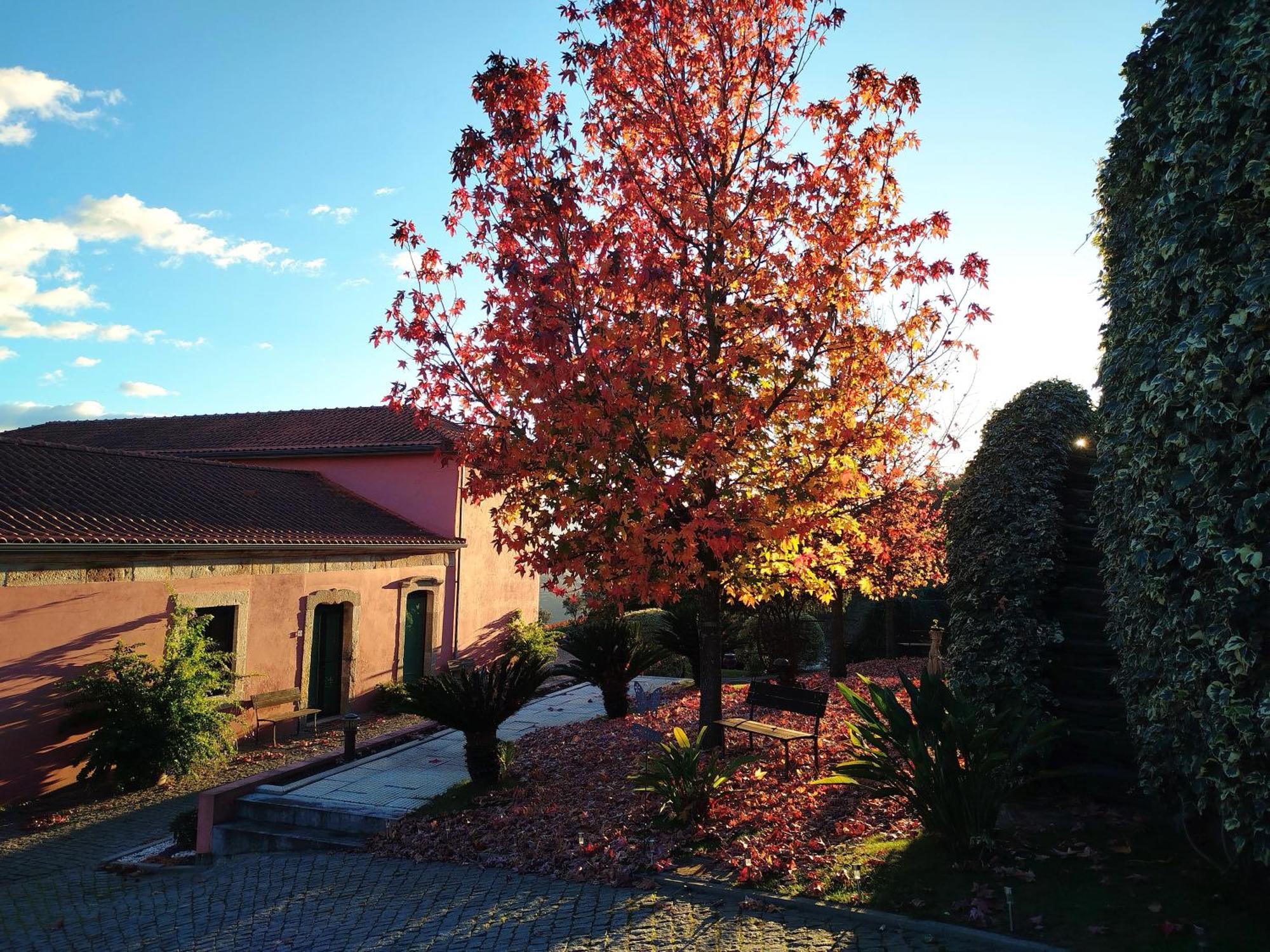 Quinta De Baixo Villa Vila Marim Eksteriør bilde